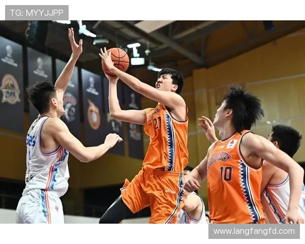 上海CBA篮球队全名及历史简介 上海CBA篮球队全名及历史简介