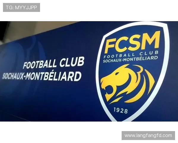 法甲外援技术进展分析与应用效果评估